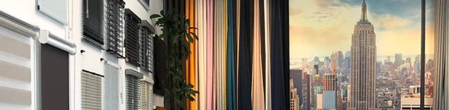 showcase-image